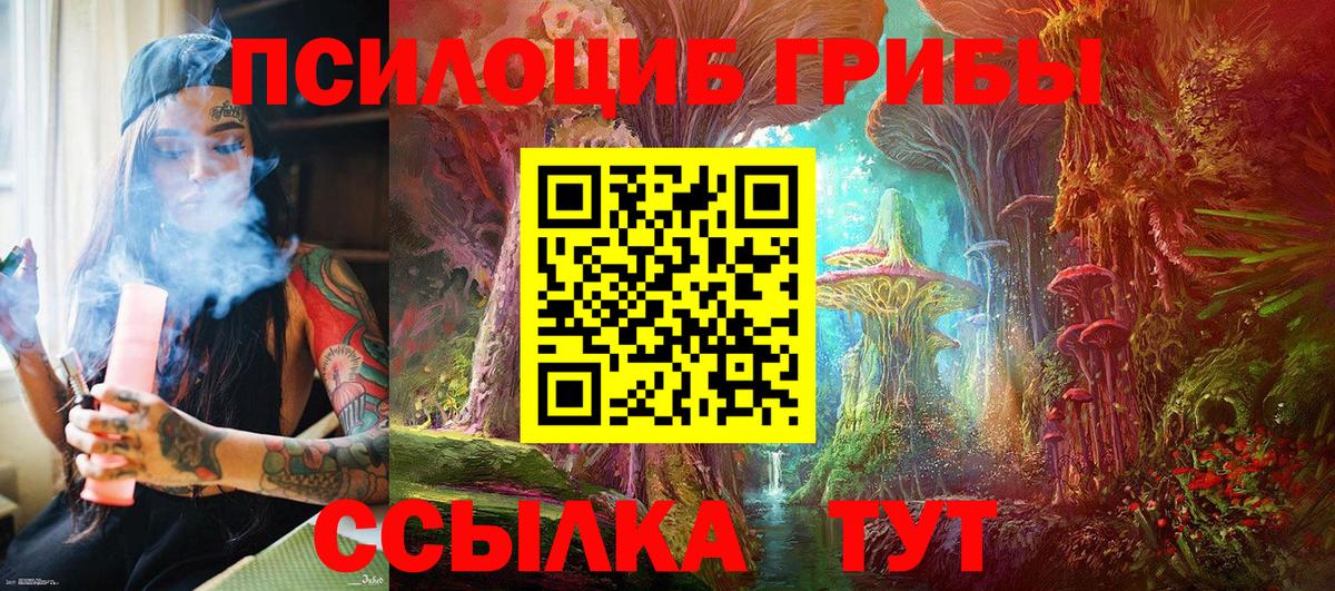 Псилоцибиновые грибы ЛСД  Вход с VPN  Керчь  Галлюциногенные грибы Magic Shrooms 