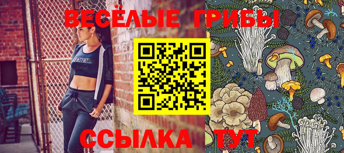Псилоцибиновые грибы Psilocybine cubensis Керчь